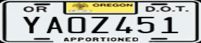 Truck License Plate