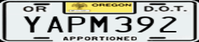 Truck License Plate