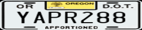 Truck License Plate