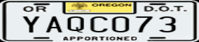 Truck License Plate