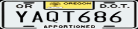 Truck License Plate