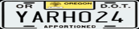 Truck License Plate