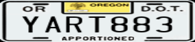 Truck License Plate