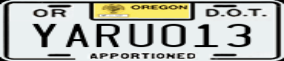 Truck License Plate