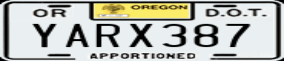 Truck License Plate