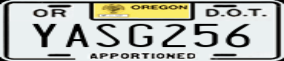 Truck License Plate