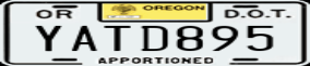Truck License Plate