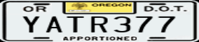 Truck License Plate