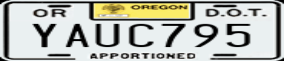 Truck License Plate
