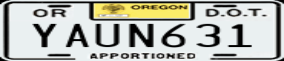 Truck License Plate