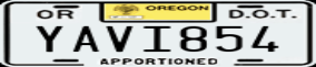 Truck License Plate