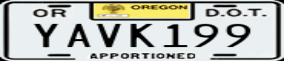 Truck License Plate