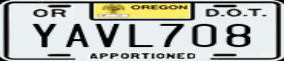 Truck License Plate