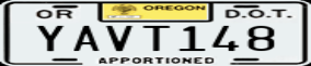 Truck License Plate