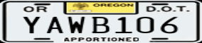 Truck License Plate