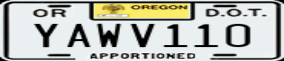 Truck License Plate