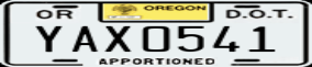 Truck License Plate