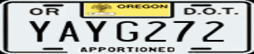 Truck License Plate