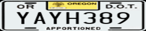 Truck License Plate