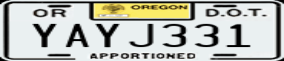 Truck License Plate