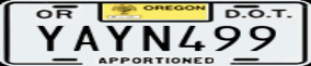 Truck License Plate
