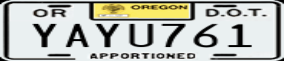 Truck License Plate