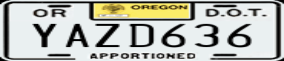 Truck License Plate