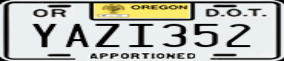 Truck License Plate