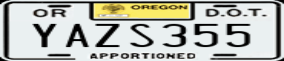 Truck License Plate