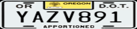 Truck License Plate