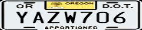 Truck License Plate