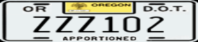 Truck License Plate