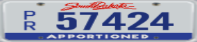 Truck License Plate