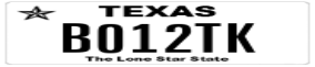 Truck License Plate