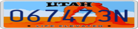 Trailer License Plate