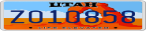 Truck License Plate