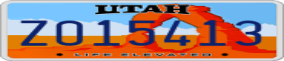 Truck License Plate