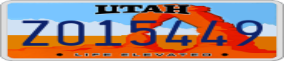Truck License Plate