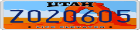 Truck License Plate