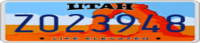 Truck License Plate