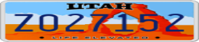Truck License Plate