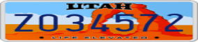 Truck License Plate