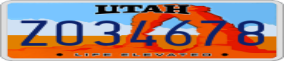 Truck License Plate