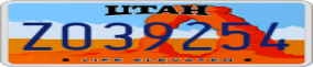Truck License Plate