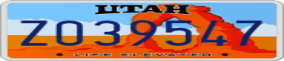 Truck License Plate