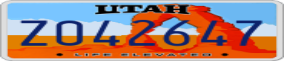 Truck License Plate