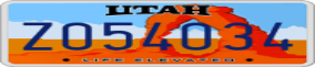 Truck License Plate