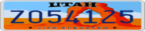 Truck License Plate