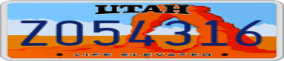 Truck License Plate