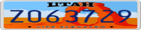 Truck License Plate